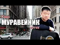 Download Lagu Виктор Цой - МУРАВЕЙНИК (cover)