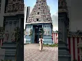 Download Lagu Siwa Ratri ceremony at Hindu Temple in Little India #hindu #temple #ceremony