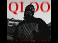 Qloo*