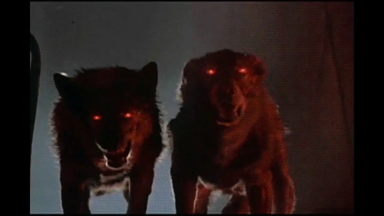 ✧ cat girls are ruining my life! - corpse {slowed + reverb} ✧