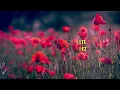 Yo nací para amarte - Alejandro Fernández (Letra/Lyrics)