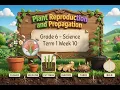 Grade 6 Science - Term 1 Week 10 Plant Reproduction and Propagation