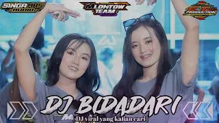 dj bidadari x mberot mlontow team 