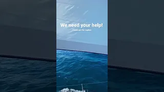 Please vote for us in the Emerging Sailing YouTube Channel, link in comments 😊 #sailing #boatlife