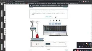 PhysioEx Ex 6 Activity 4