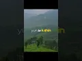 Download Lagu Qafirana♥ from Kedarnath 🌙#qafirana #kedarnath #saraalikhanpataudi #sushantsinghrajput