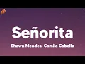 Download Lagu Shawn Mendes, Camila Cabello - Señorita