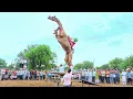 Download Lagu ऊंट ने किया तीन खाटों पर जम्प || New Rajasthani Song 2024 || New Camel Dance #cameldance #priyanshu