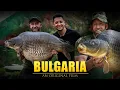 Download Lagu CATCHING HUGE CARP ABROAD!- MARK PITCHERS \u0026 HASSAN KHAN