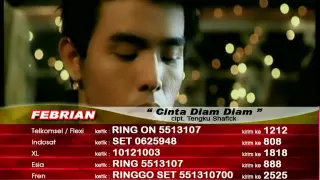 Download Febrian - Cinta Diam Diam (Official Video) MP3