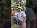 Download Lagu Kerja isinya cuma baik Pak, siap Pak, Siap Salah, Saya perbaiki Pak