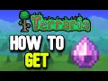 How to Get a Gelatin Crystal in Terraria Quick Tutorial