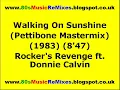 Walking On Sunshine (Pettibone Mastermix) - Rocker's Revenge ft. Donnie Calvin | 80s Club Mixes