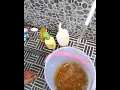 Download Lagu ZERNI MAGIC WATER FILTER