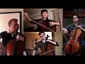 Debussy Clair de Lune (arr. Blaise Déjardin)