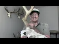 Antler Tech Skull and Skull Plate Pro Tips