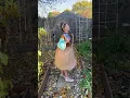 Cinderella Transformation