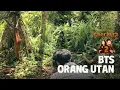 Download Lagu Behind the Scene Orang Utan dan Kalimantan, Awal Inspirasi Cerita #PetualanganSherina 2