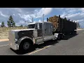 Logging in a Peterbilt 389 in ATS The Most Relaxing Game
