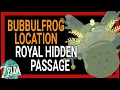 Bubbulfrog Location Royal Hidden Passage Zelda Tears of the Kingdom Central Hyrule Cave