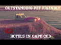 Amazing cozy dog friendly hotels In cape cod