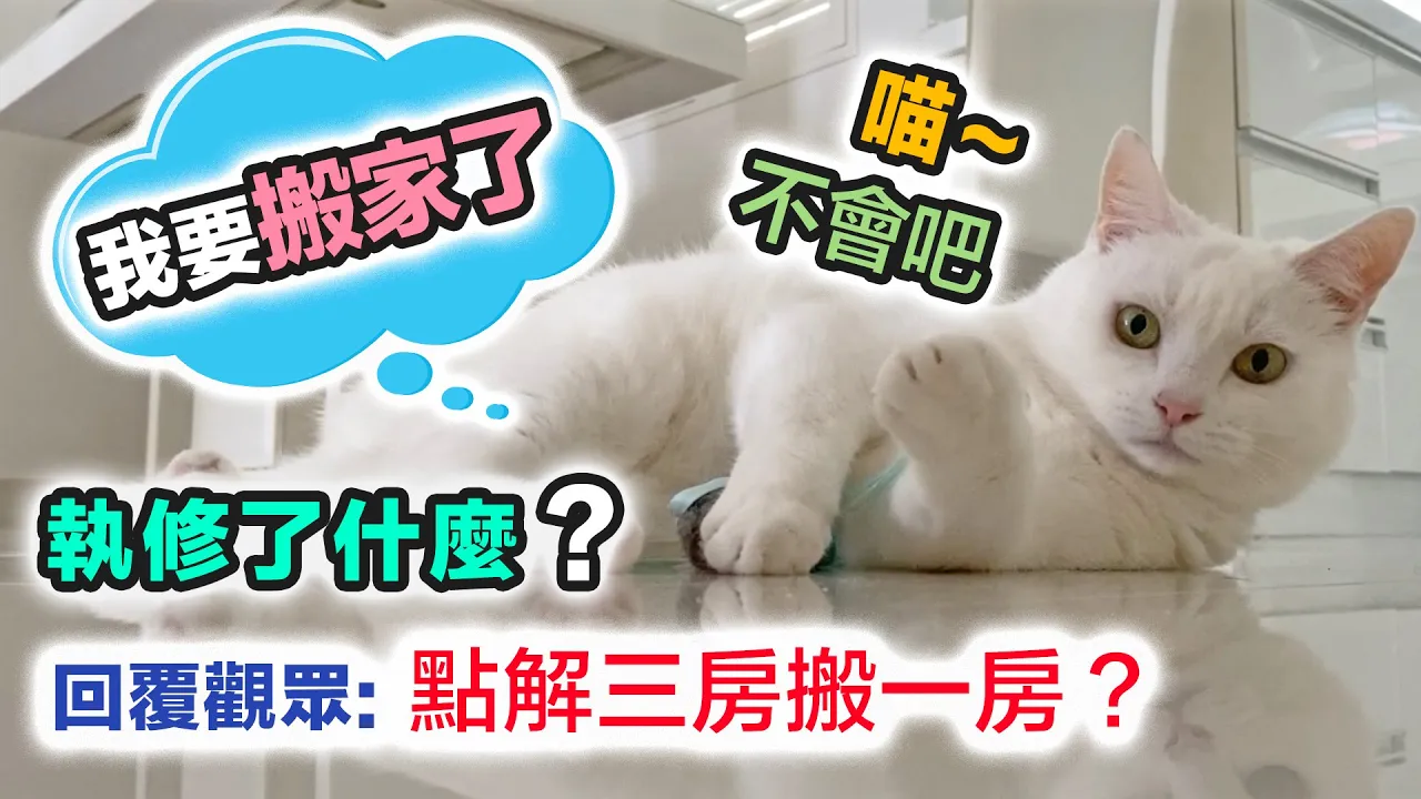 新樓執修 VS 舊樓裝修｜搬到天鑽的原因？ 收樓超過三個月 最煩竟然是？給大家一個膠袋｜貓貓 ASMR｜中文字幕