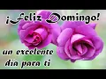 Feliz Domingo bendiciones para ti con un lindo mensaje de buenos dias abrelo es para ti