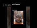 Download Lagu woi makan ni ngen**** hihi kalo gak mati lu 🤣🤣🤣🤣🤣🤣🤣