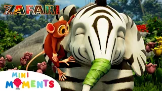 Zoomba's Trunk Trouble🐘🤕 | ZAFARI | Full Episode | Mini Moments