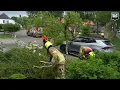 Download Lagu Boom valt op geparkeerde auto in Weert