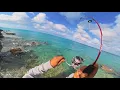 Download Lagu 🔥 Action Packed Fishing In Sunlit Shoals - Where Light Meets the Bite!