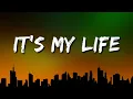 Download Lagu Bon Jovi - It's My Life (Lyrics)