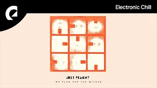 Just Peachy feat King Sis - No Plan For The Wicked