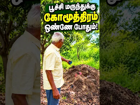 என் நிலத்துக்கு பூச்சு மருந்து கோமூத்திரம் ஒண்ணு போதும் நிலத்தை காக்க /#pasumaivivashayam