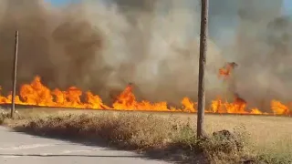 احتراق محاصيل زراعية للمدنيين في ريف ادلب الجنربي جراء استهدافا بقذائف صاروخية من قبل قوات النظام ال 