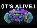 It Begins Scientists Literally Copied a Brain Into a Computer And It Came Alive