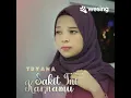 Download Lagu Tryana Sakit Ini Karnamu MP3