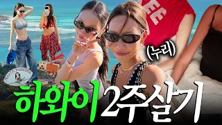 하와이에서 2주 동안 대체 뭘 했냐면요…