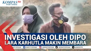 Lebih Dari 200.000 Hektar Hutan & Lahan  Alami Kebakaran Sejak Januari 2026