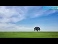 Download Lagu BACKSOUND AESTHETIC | BACKSOUND CINEMATIC | BACKSOUND CERIA | LIFE IS A DREAM