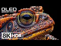 Download Lagu Amazing HDR 8K 60FPS Video With Dolby Vision #8k #hdr