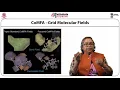M-13 3D QSAR Data Driven predictions