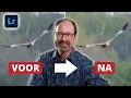 Fotobewerking Vogelfotografie in Adobe Lightroom