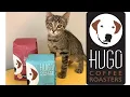 Hugo Coffee Roasters with Paws for Life