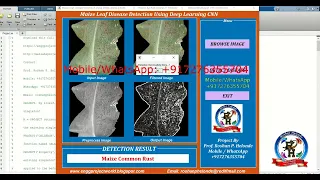 Detection of Maize Leaf Disease Using Image Processing With Source Code Matlab Project Code