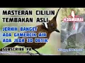 Lagu Masteran Suara Asli Cililin \u0026 Terapi Gemercik Air Sangat Jernih, Rapat buat Murai, Cucak Ijo, Kacer