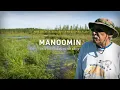 Manoomin Food That Grows on the Water The Ways