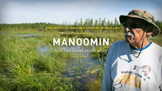 Download Manoomin: Food That Grows on the Water | The Ways MP3