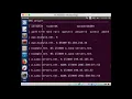 Local DNS Attack Lab