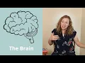 The Body Keeps the Score - Book Summary by a Therapist w/o the Triggering Bits